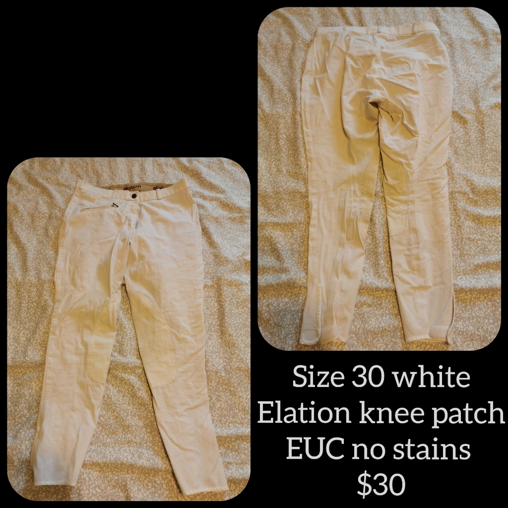Elation & Sigma ladies breeches